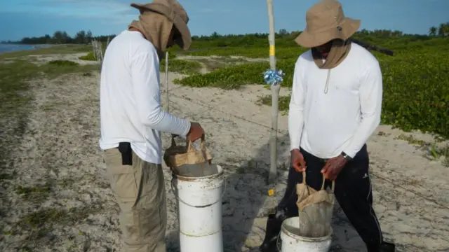 Coletadepósito minimo zepbetlixo nas praias