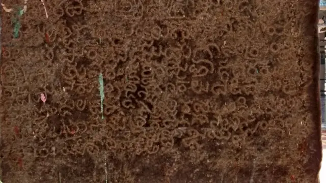 శ్రీకాకుళంలో తెలుగు శాసనం