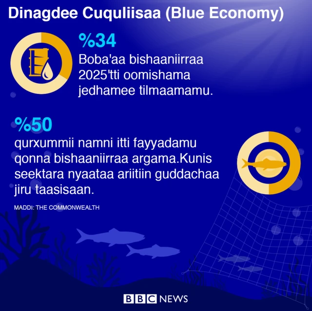 Dinagdee Cuquliisaa qabeenya bishaan waliin walqabatudha