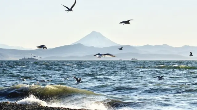 Neki ekolozi tvrde da žuta pena koju su videli surferi i lokalci nije otrov, već posledica ostataka živih organizama