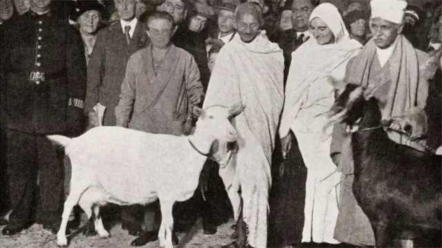 મહાત્મા ગાંધી સાથે મીરાબહેન