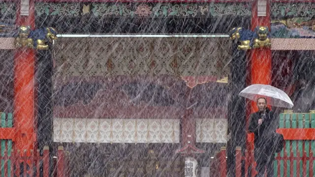 Снегопад в Токио