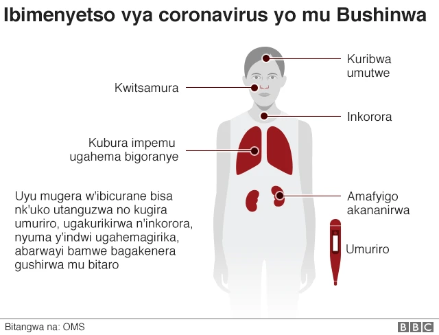 Corona virus