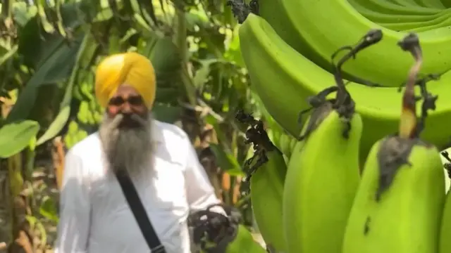 ਕਿਸਾਨ ਸਤਨਾਮ ਸਿੰਘ