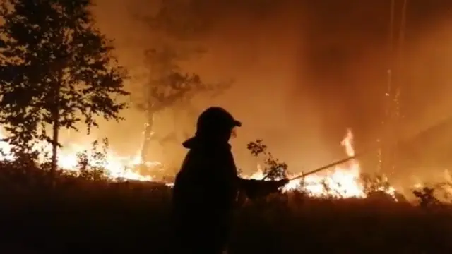 Сотрудники МЧС во время тушения лесного пожара.