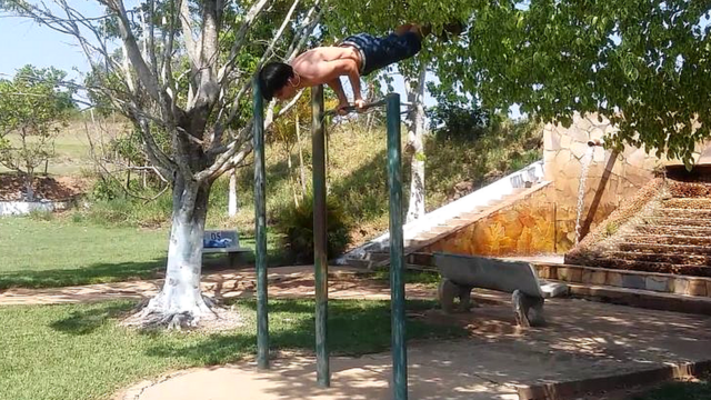 Praticanteapostar quina onlinecalistenia