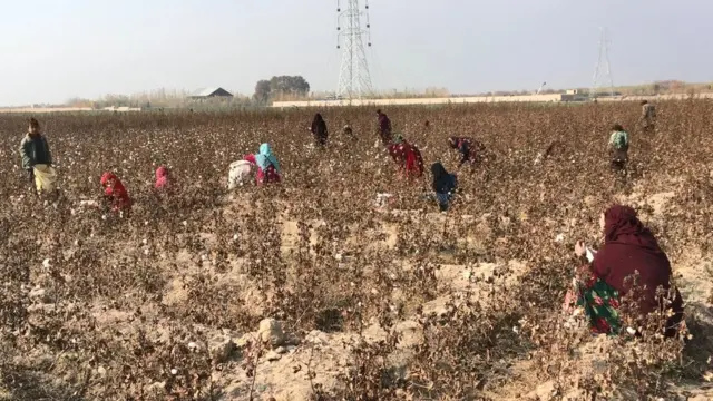 بلخ