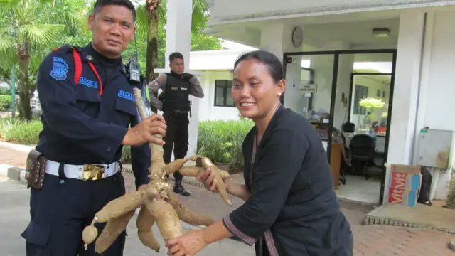 kendeng, rembang, pati