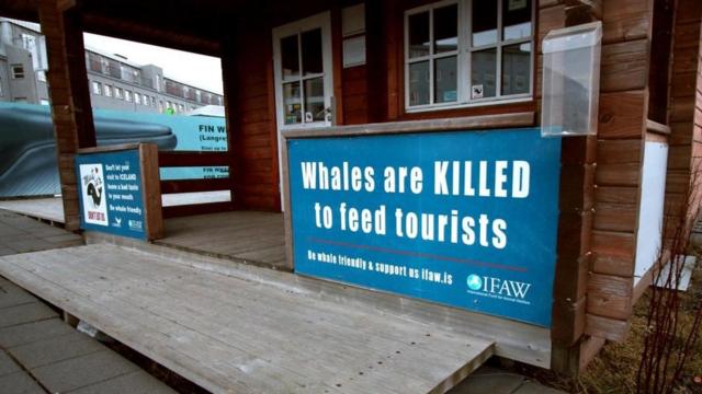 Una casa con un cartel que dice "Matan a las ballenas para alimentar a los turistas"