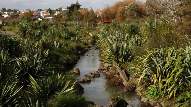 오클랜드 오클리 크릭 주변 공원은 비가 갑자기 많이 내리면 빗물을 스폰지처럼 흡수할 수 있다