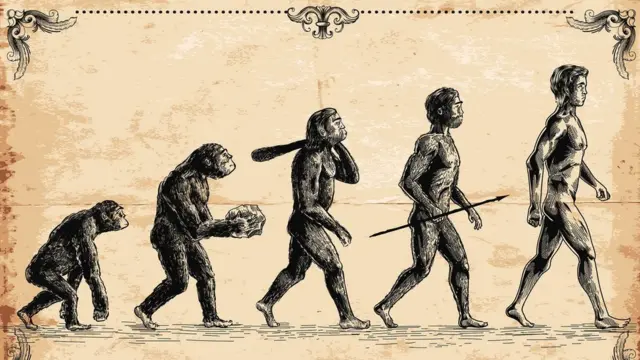 Evolución humana