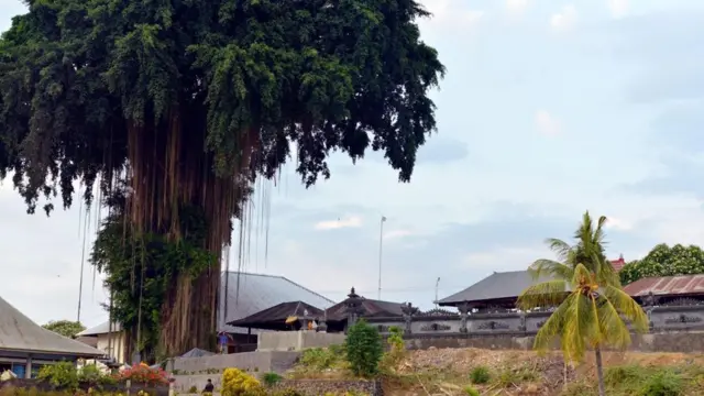 اللغة التي لا يتحدثها سوى 44 شخصا في العالم