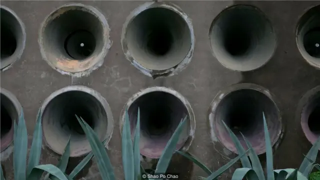 这场艺术表演的演出时间正是第二次台海危机60周年之际。1954年9月，中华人民共和国对金门群岛发动炮击。