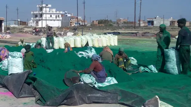 रंगों का करोबार, कानपुर