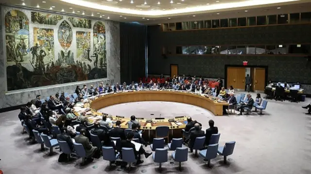 UN Security Council