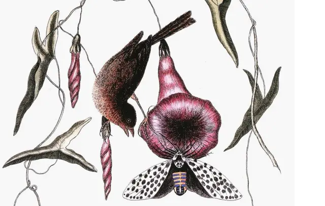 నరమాంస భక్షణ