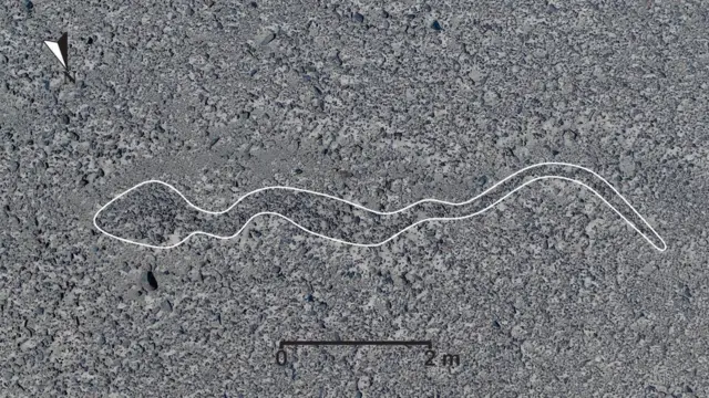 Geoglifo de serpiente