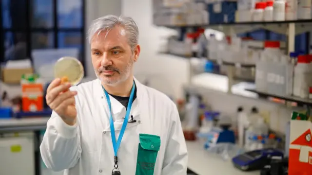 Ndị ọkachamara na sayensi na-agba mbọ ịchọpụta ọgwụ mgbochi coronavirus