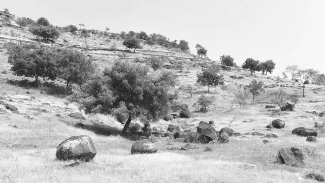 दलित उत्पीड़न