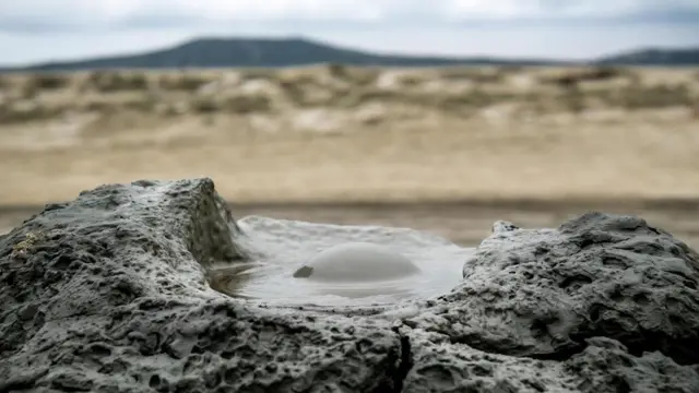 (图片来源:Kit Yeng Chan)