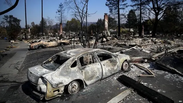 जंगल में आग