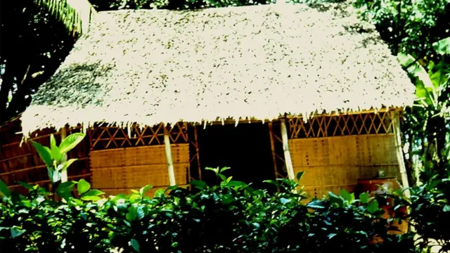 A cabana onde a mãesite da betano oficialTuy morava