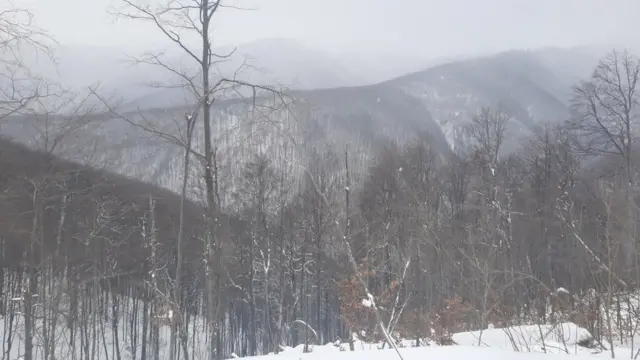 Пошуки туриста в Карапатах