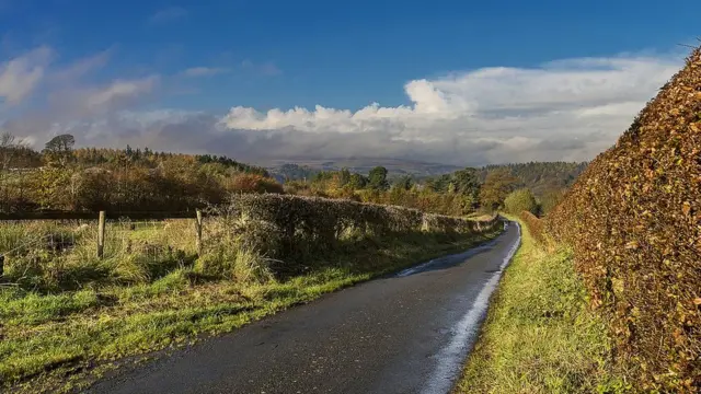 Сельская дррога.