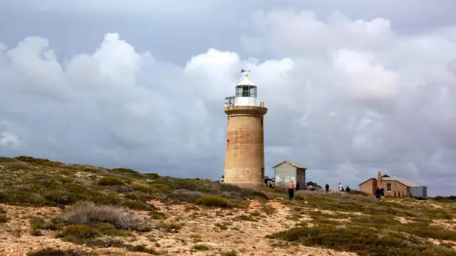 （圖片來源：Fleur Bainger）