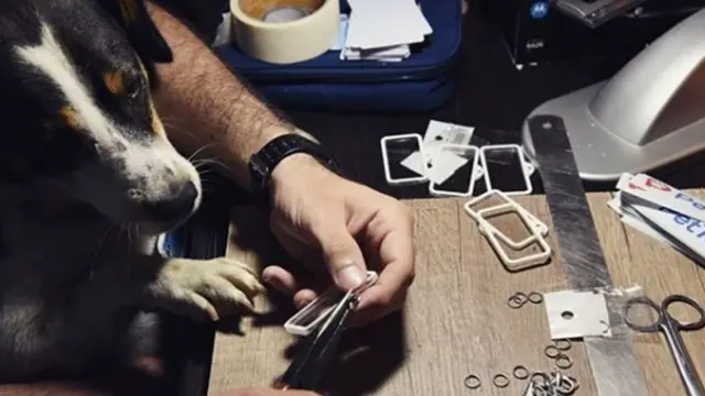 životinje, ljubimci