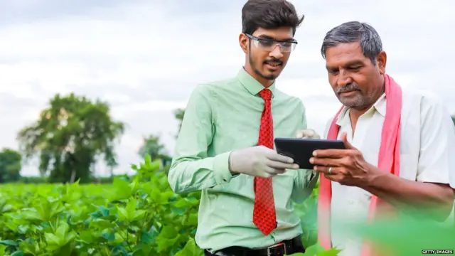 प्रातिनिधि फोटो