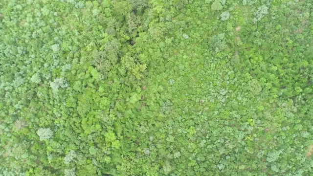 யுரேனிய சுரங்கம் அமைத்தால் அணை உடையும் - அச்சத்தில் ஆந்திர மக்கள்