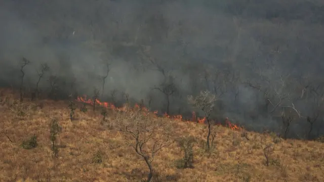 bolivia incendio
