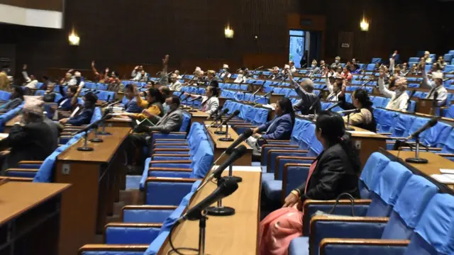 प्रतिनिधिसभामा नागरिकता सम्बन्धी संशोधन विधेयक गृहमन्त्रीले पेस गरेका थिए