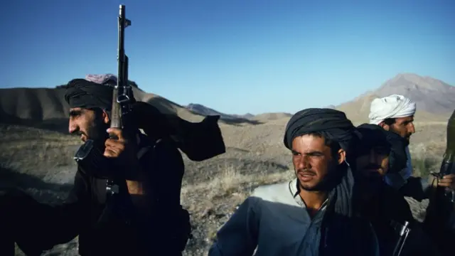 طالبان، افغانستان