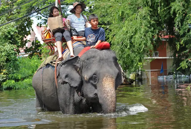 10 ปี น้ำท่วม ไทย flood thailand bangkok 2011