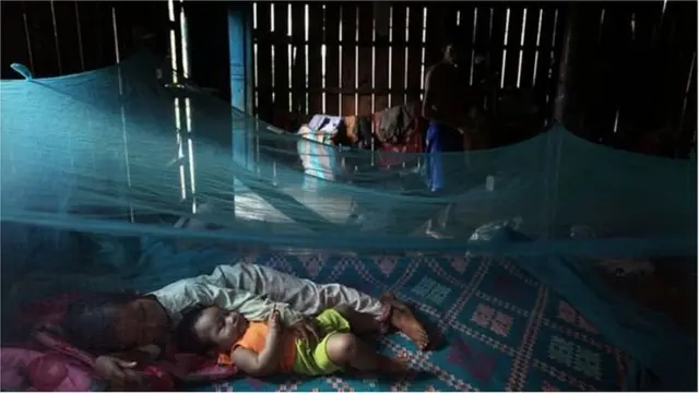 ঢাকার বাইরেও ডেঙ্গু ছড়িয়ে পড়েছে