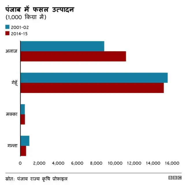 पंजाब में होने वाली फसलें