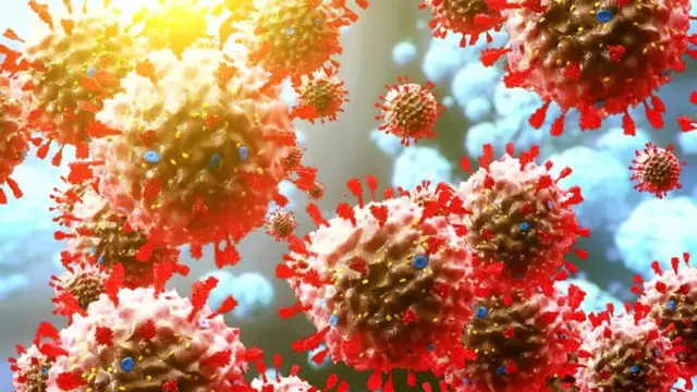 ابعاد شیوع نوع جدید ویروس کرونا