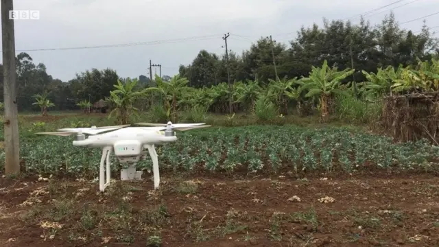 ዕጽዋቶችን በሽታ የሚለይ ፈጠራ