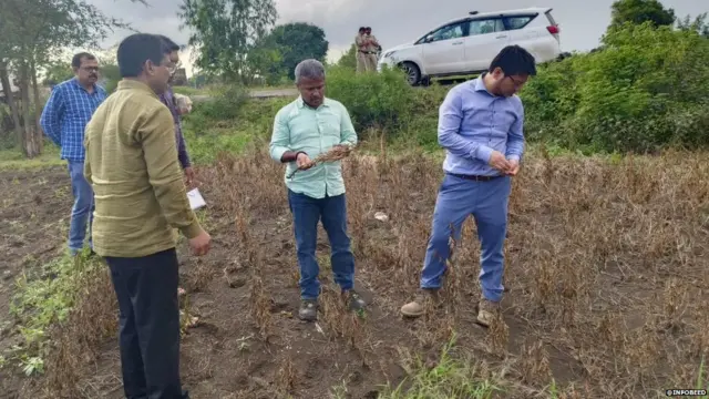अतिवृष्टीनं झालेल्या शेतमालाच्या नुकसानीचे सध्या पंचनामे सुरू आहेत.