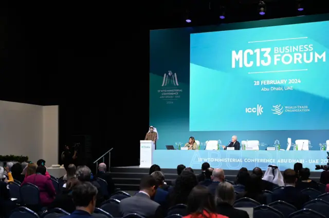 डबलूटीओ सम्मेलन