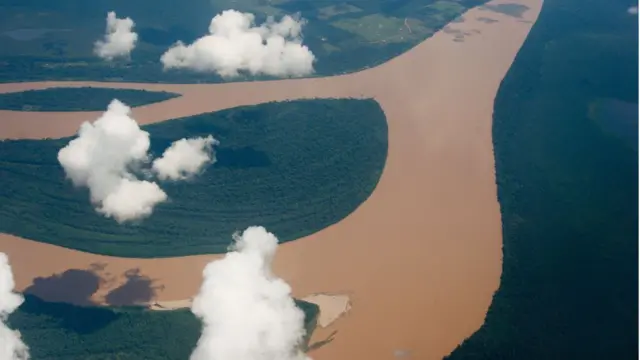 Amazonas brasileño