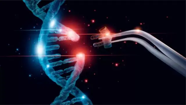 చాట్‌జీపీటీ