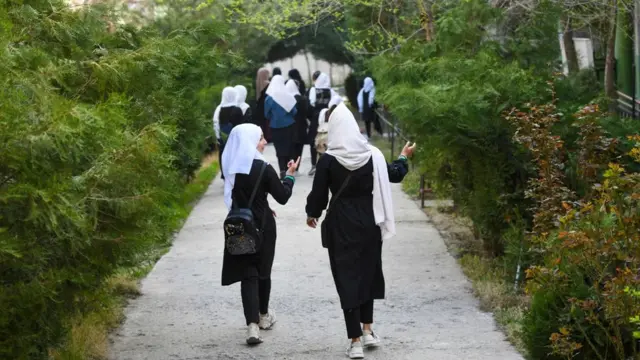 افغانستان نجونې