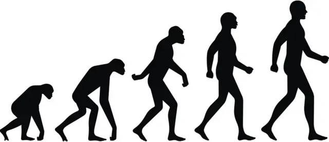 Evolución