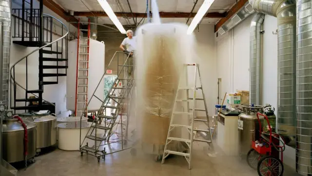 انجماد انسان