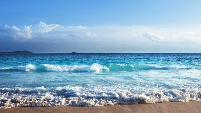 મહાસાગરની તસવીર