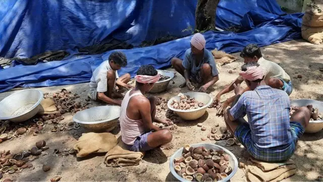 కొబ్బరి