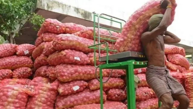 ఉల్లిగడ్డలు